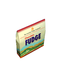 Country Fudge Chocolate Fudge (100g)
