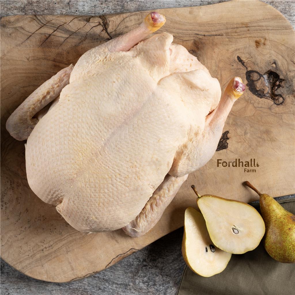 Organic Duck