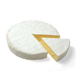 Cheese - Caws Cenarth- Perl Wen. Cheese Counter