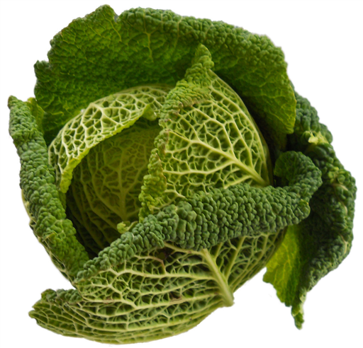 Veg - Savoy Cabbage