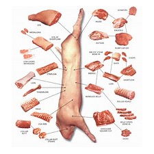 Gloucester Old Spot Pork - Fordhall Farm