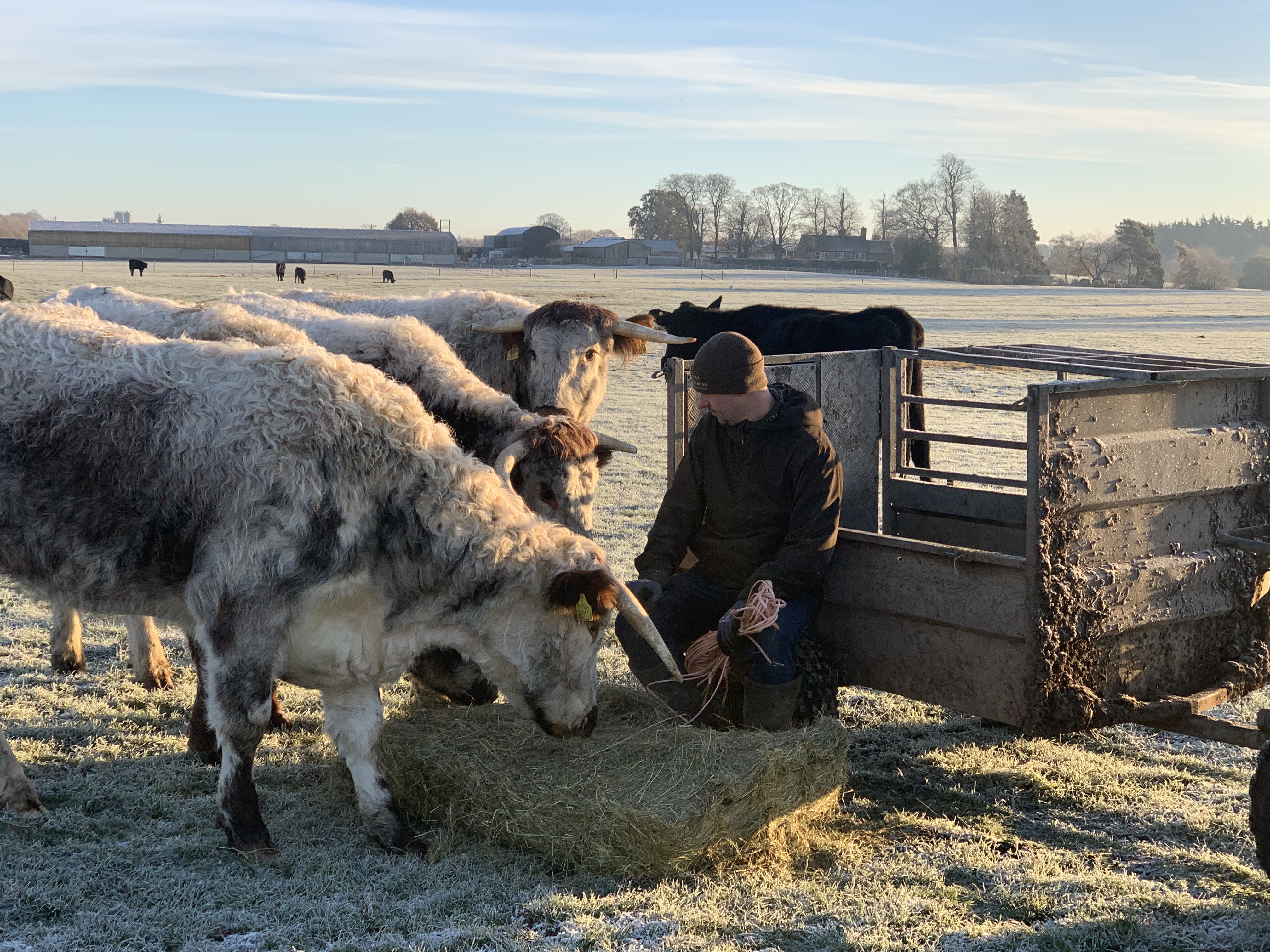 Fordhall Farm Community Shares