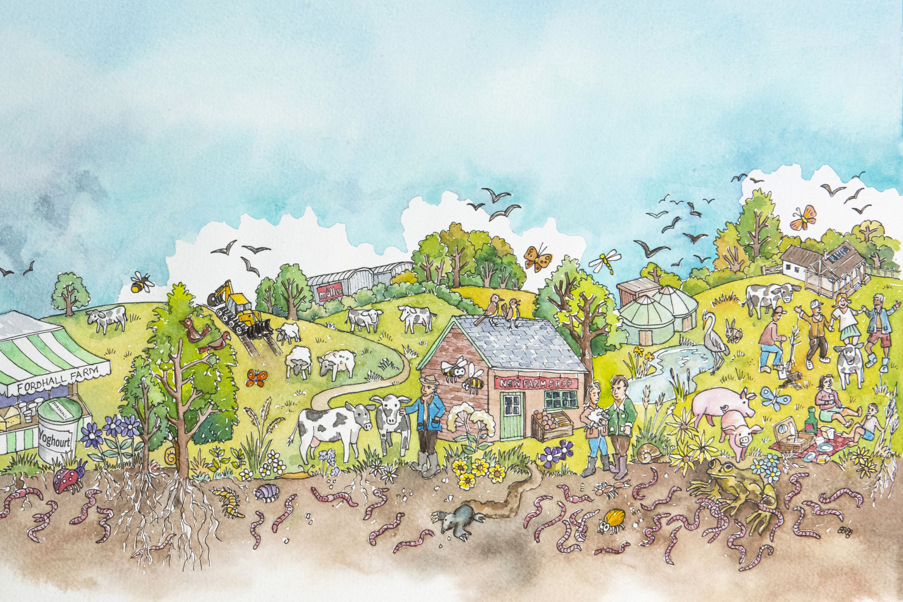 Fordhall Farm Community Shares